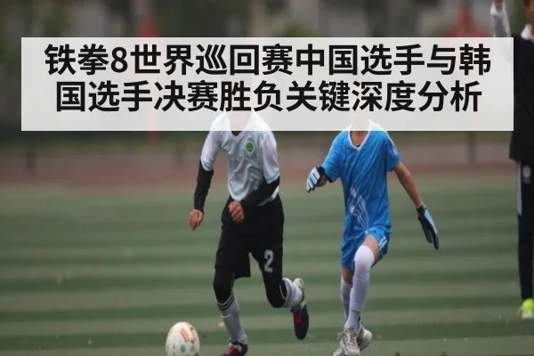 铁拳8世界巡回赛中国选手与韩国选手决赛胜负关键深度分析（kaiyun）