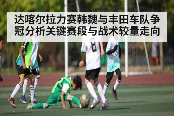 达喀尔拉力赛韩魏与丰田车队争冠分析关键赛段与战术较量走向（kaiyun）