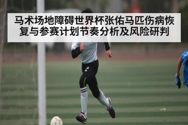 马术场地障碍世界杯张佑马匹伤病恢复与参赛计划节奏分析及风险研判（kaiyun）